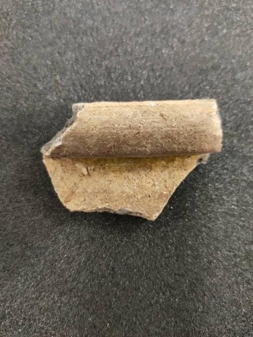 AB/Q/73 Scottish East Coast Gritty Ware Cooking Pot Rim Sherd