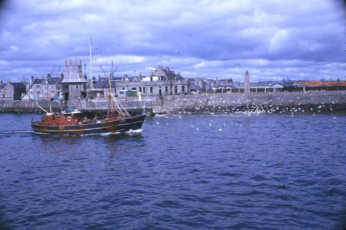 colour slide showing the trawler Westerdale in Aberdeen harbour