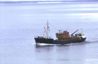 colour slide showing the trawler Aberdeen Venturer in Aberdeen harbour