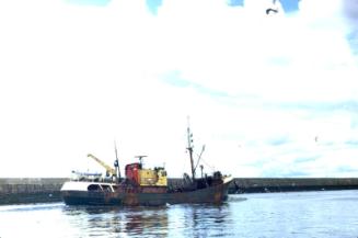 colour slide showing the trawler Carency in Aberdeen harbour