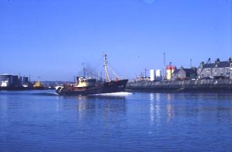 colour slide showing the trawler Bickleigh in Aberdeen harbour