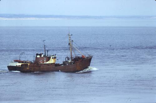 colour slide showing the trawler Bickleigh at sea