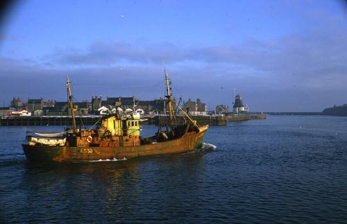 colour slide showing the trawler Hawkflight in Aberdeen harbour