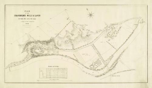 Plan of Grandholme Mills and Lands Divided into Lots for Sale 1859