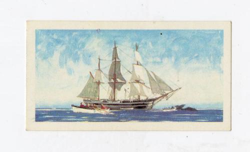 "The Saga of Ships" Brooke Bond Tea Card - Charles W Morgan