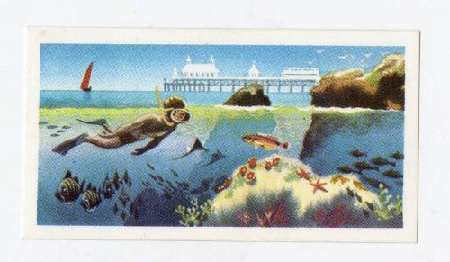 The Sea - Our Other World: Beach Wear