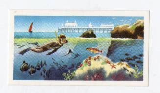 The Sea - Our Other World: Beach Wear