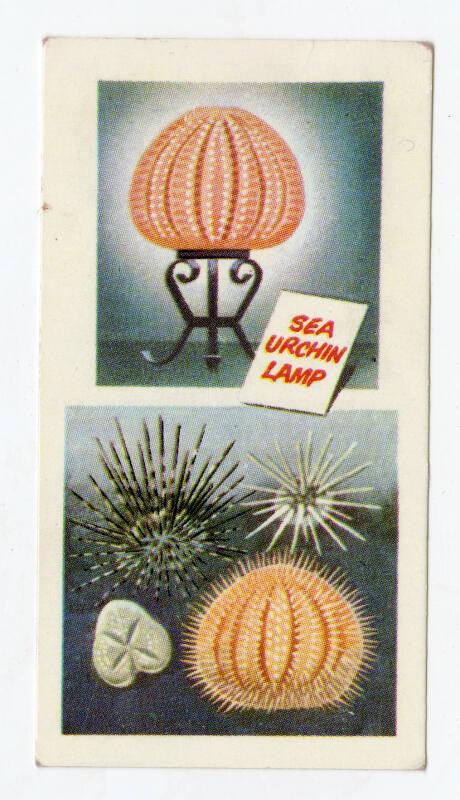 The Sea - Our Other World: Underwater Pin-cushion