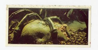 Weetabix Flash Gordon Movie Card: No. 12 "Swamp-Monster"