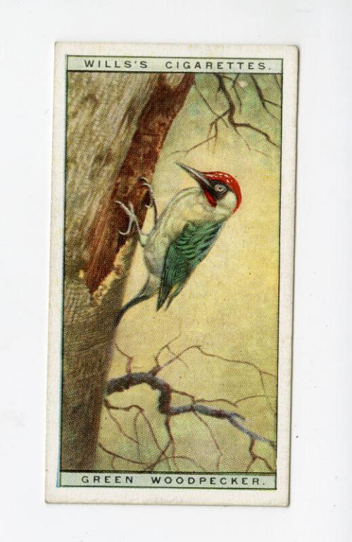 Wills's Cigarettes: Life in the Tree Tops Series - Green Woodpecker