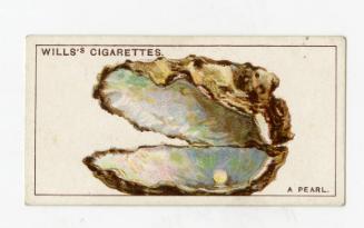 Wills's Cigarettes: Do You Know Series - How Pearls Are Formed?