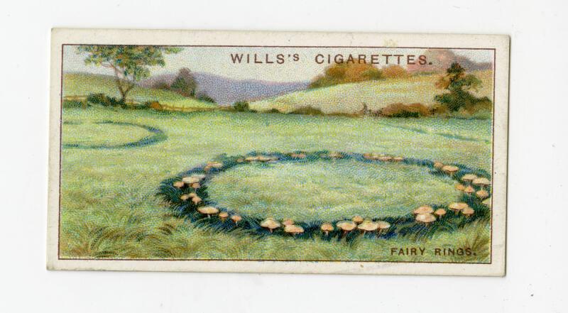 Wills's Cigarettes - "Do You Know?" series - No. 17 The Cause Of "Fairy Rings"?