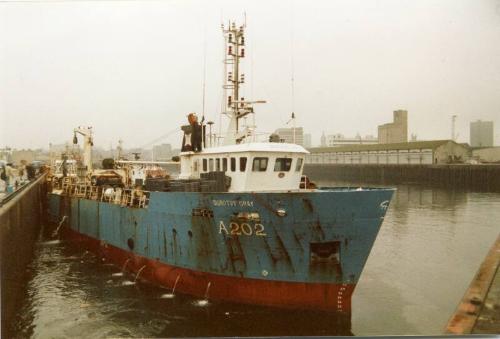 Colour Photograph Showing The Fishing Vessel 'dorothy Gray' In Aberdeen Harbour, Starboard Side View