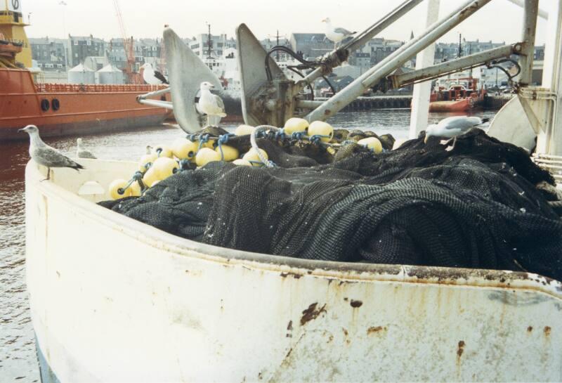 Colour Photograph Showing The Deck Of An Unidentified Purser With Nets Piled High And Seagulls