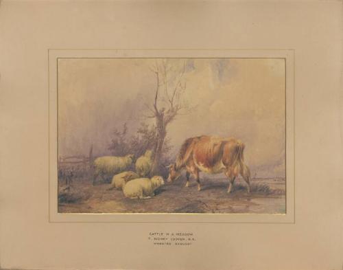 Cattle in a Meadow