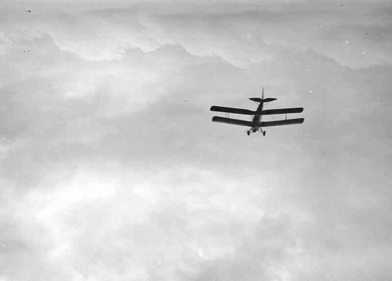 View Of D H Tiger Moth Aircraft
