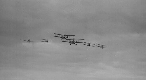 View Of 3 D H Tiger Moths, 2 Airspeed Ferrys and 1 Miles M18 Aircraft