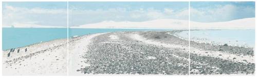 Antarctic Shore Walk