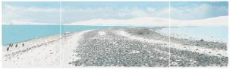 Antarctic Shore Walk