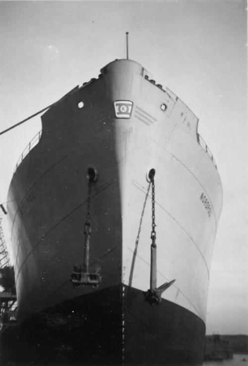 Black and White Photograph in album of cargo ship 'Nordpol'