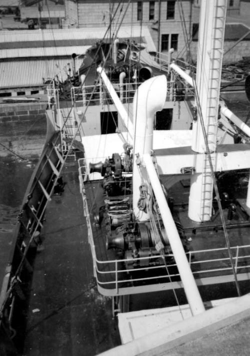 Black and White Photograph in album of cargo vessel 'Hero'