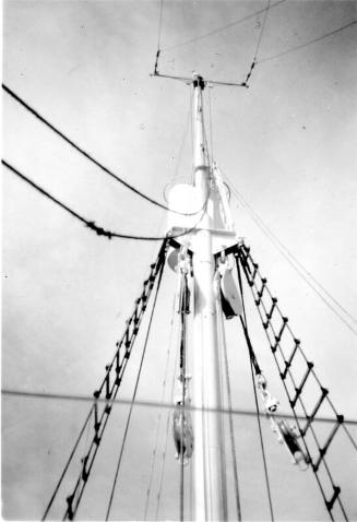 Black and White Photograph in album of construction of Norwegian whaler 'POL XV'