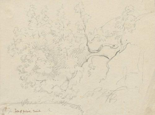 Top of Virgil's Tomb - One of 91 Sketches of France, Italy & Greece