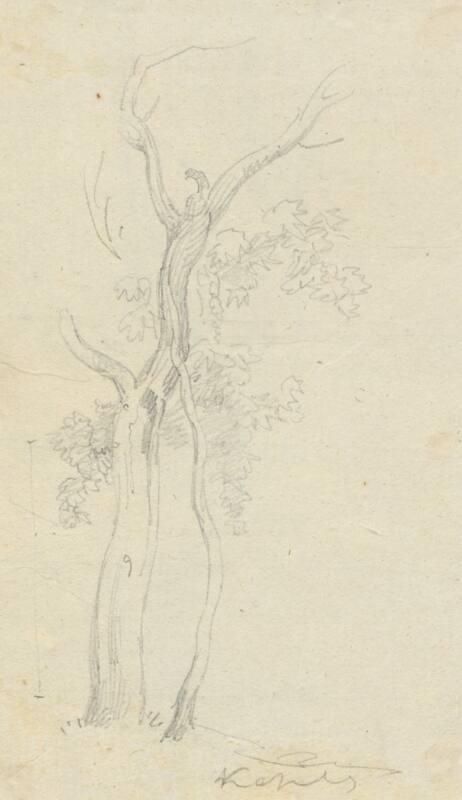 Trees, Naples - One of 91 Sketches of France, Italy & Greece