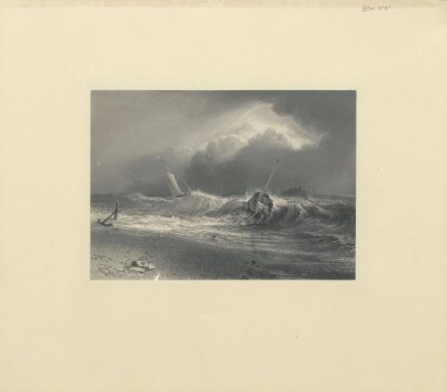 Untitled (Marine)