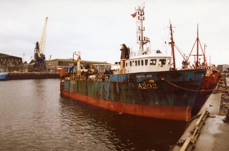 Colour Photograph Showing The Starboard Side Of The Fishing Vessel 'dorothy Gray' In Harbour