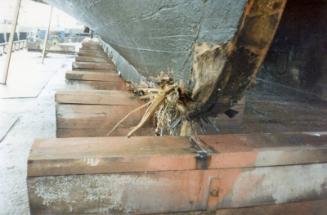 Colour Photograph Showing Damage To The Keel Of The Vessel 'gleanaway'which Went Ashore, Girdleness