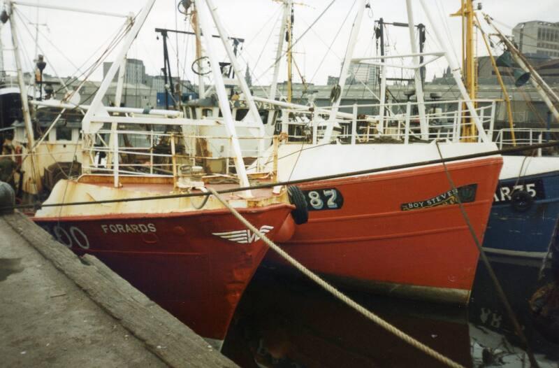 Colour Photograph Showing Fishing Vessels Tied Up In The Albertbasin