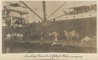 Landing Camels at Jetty for Water camping