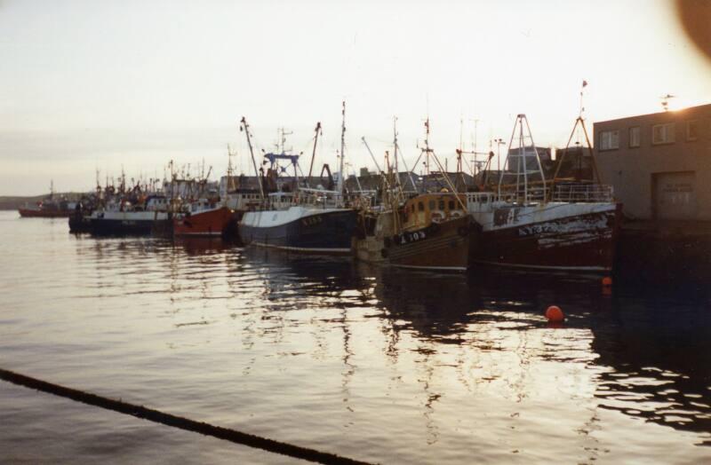 Colour Photograph Showing Fishing Vessel Tied Up In The Albert Basin