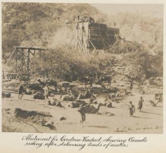 Abutment for Coreteva Viaduct shewing Camels resting after delivering loads of water.