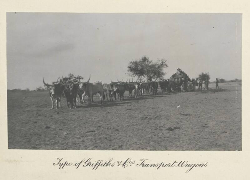 Type of Griffith’s & Cos Transport Wagons