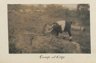 Camp at K. 590