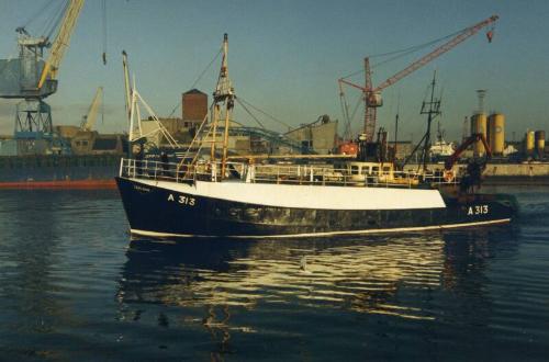 Colour Photograph Showing The Fishing Vessel 'sealgair' A313 In Aberdeen Harbour