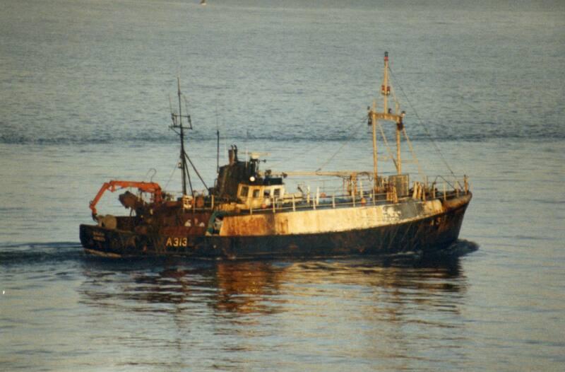 Colour Photograph Showing The Fishing Vessel 'sealgair' A313, Starboard Side