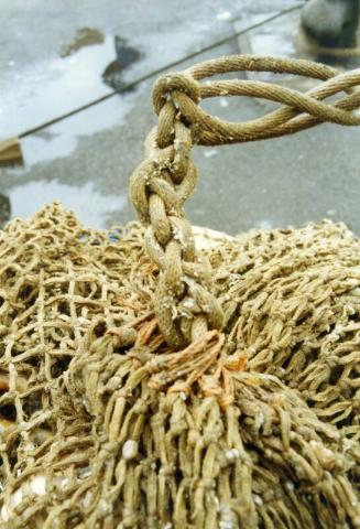 Colour Photograph Showing 'cod End' - Big Pile Of Fishing Net With Rope Leading Away