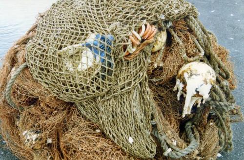 Colour Photograph Showing 'old Trawl'. Net Is Lying On The Ground, Some Marine Growths