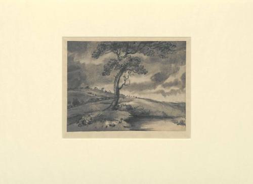 Landscape with Tree and Pond