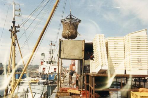 Colour Photograph Showing Fishing Vessel Unloading At Aberdeen Harbour