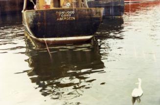 Colour Photograph Showing The Stern Of The Fishing Vessel 'donwood' In Harbour, With Swan