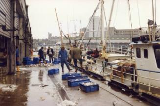 Colour Photograph Showing Fishing Vessels Unloading Boxes Of Fish At The Fish Market, Aberdeen Harbour