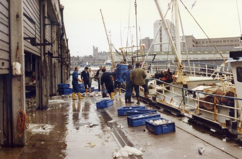 Colour Photograph Showng Fish Being Unloaded From Vessels At The Fish Market, Aberdeen Harbour