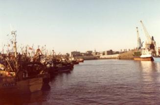 Colour Photograph Showing The Albert Basin With A Number Of Fishing Vessels Tied Up