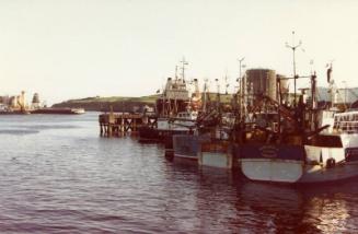 Colour Photograph Showing Fishing Vessels Tied Up In The Albert Basin, Looking Towards Sea