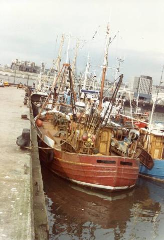 Colour Photograph Showing Fishing Vessels Moored In The Albert Basin