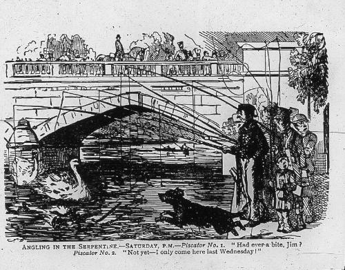 Cartoon of Angling in the Serpentine